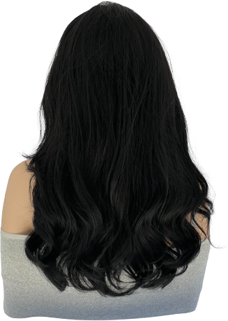 Midnight Elegance wig back view