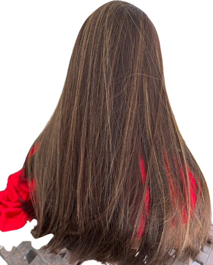 Back View Photos:

"Midnight Ash Elegance back view 22 inch dark brown hair with natural movement"