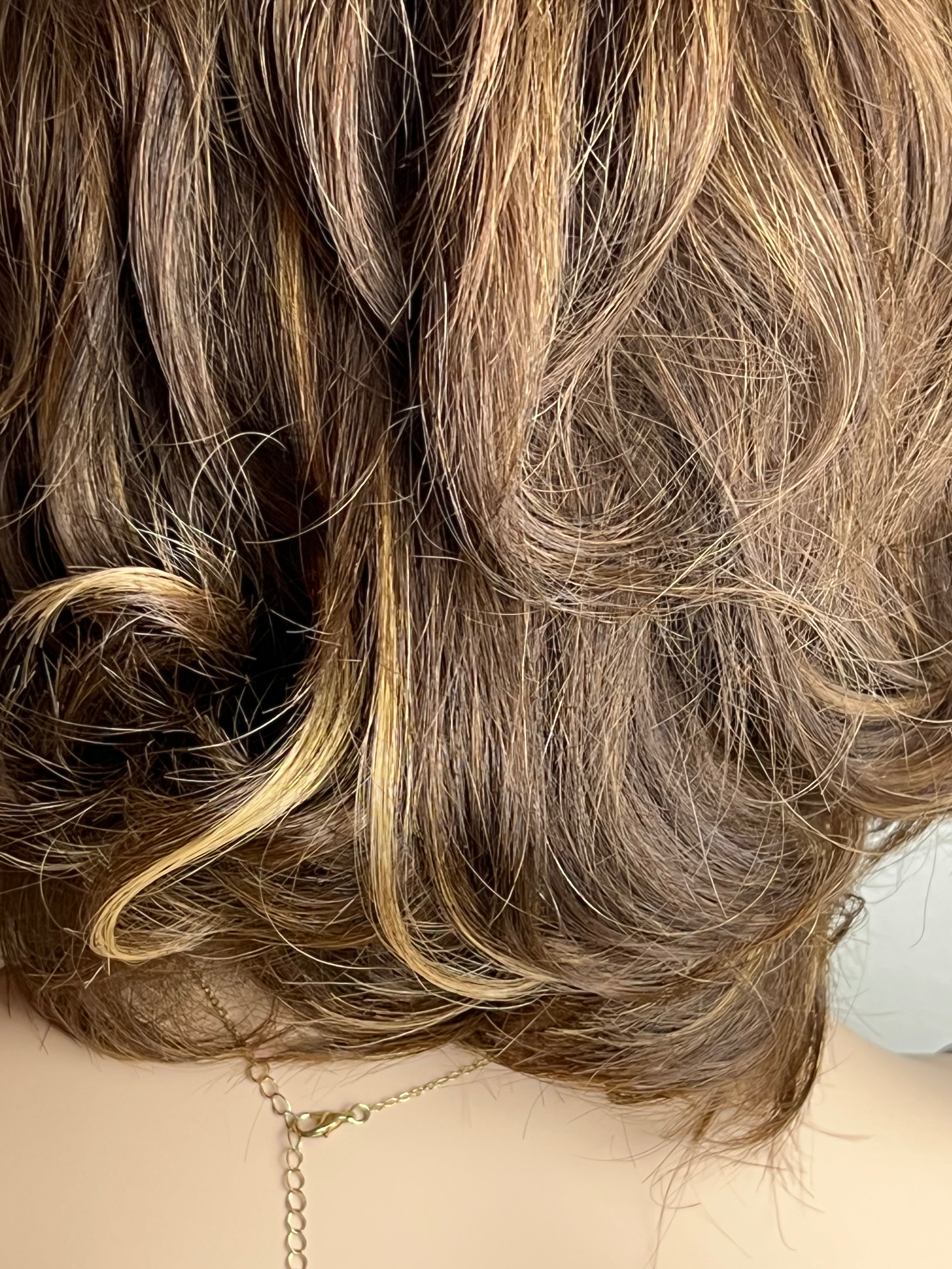 brown with highlights back view
